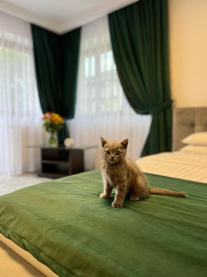 Vila Calimanel Hotell Vatra Dornei Eksteriør bilde